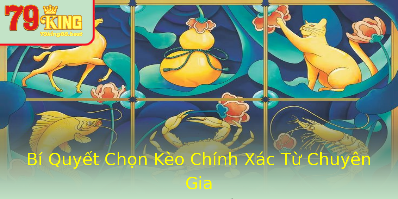 Bí Quyết Chọn Kèo Chính Xác Từ Chuyên Gia Bí Quyết Chọn Kèo Chính Xác Từ Chuyên Gia